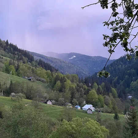 ековид Krivorovnya