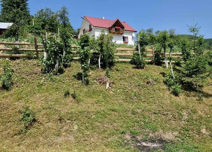 ековид * Krivorovnya